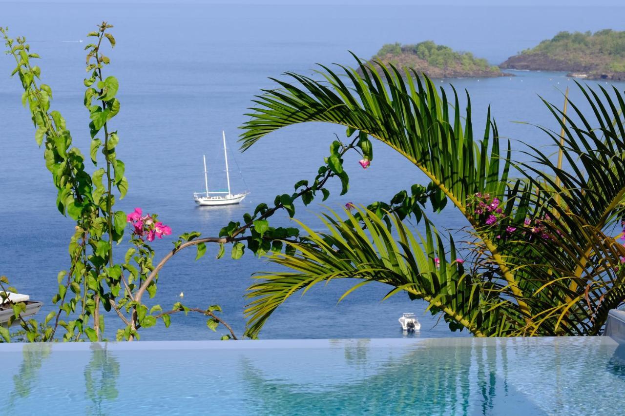Sunset Palm - Villa Creole Avec Piscine Face Au Coucher De Soleil Et A La Reserve Cousteau 부이영뜨 외부 사진