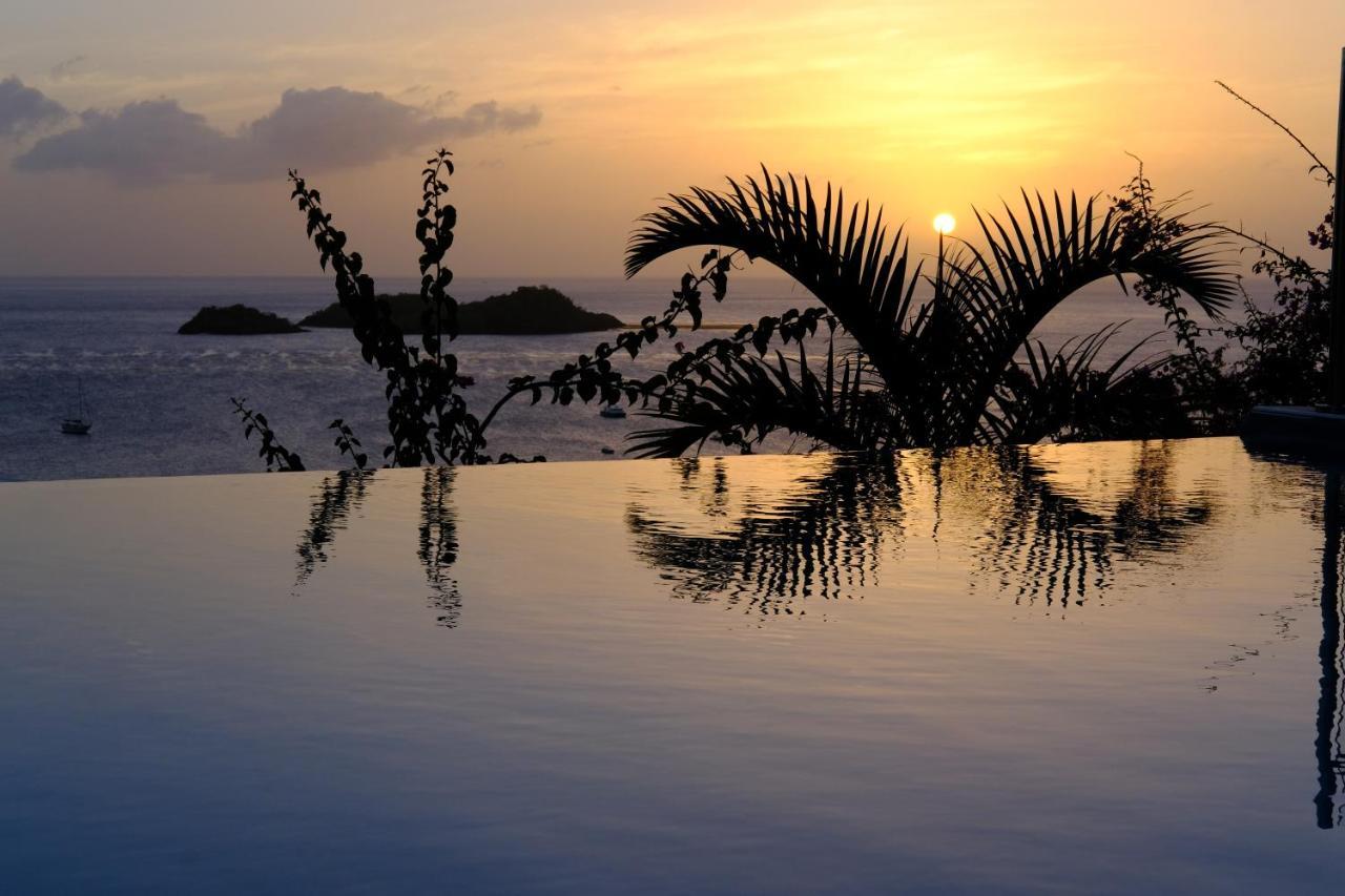 Sunset Palm - Villa Creole Avec Piscine Face Au Coucher De Soleil Et A La Reserve Cousteau 부이영뜨 외부 사진
